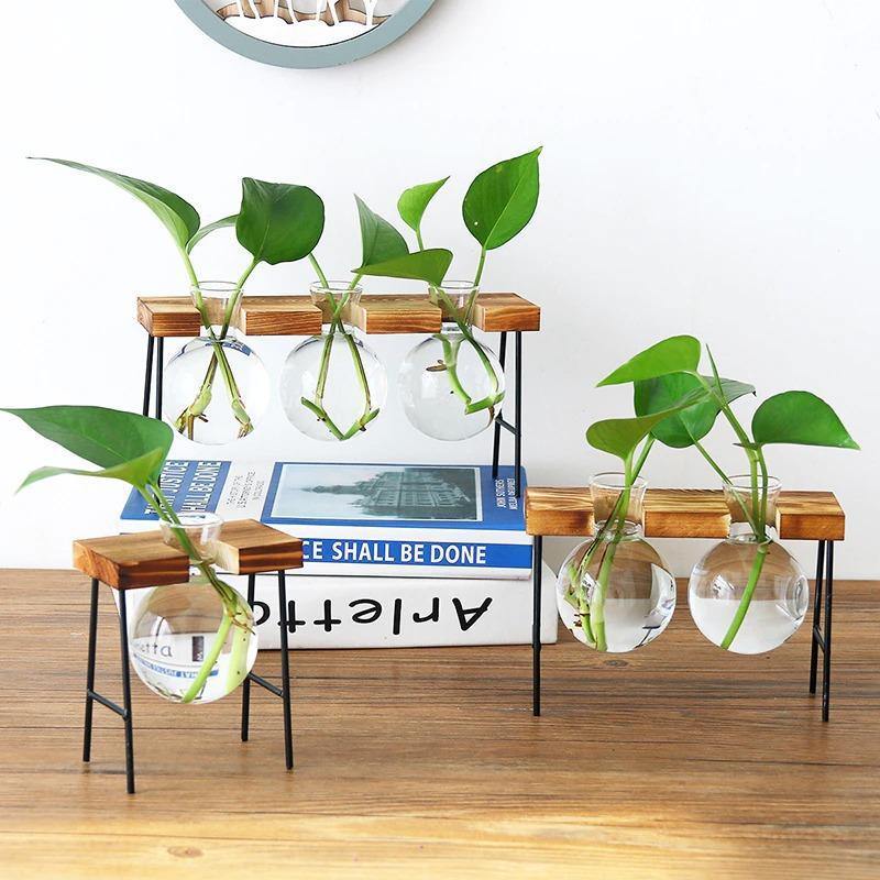 Flourish Propagation Vessel with Metal and Wooden Stand